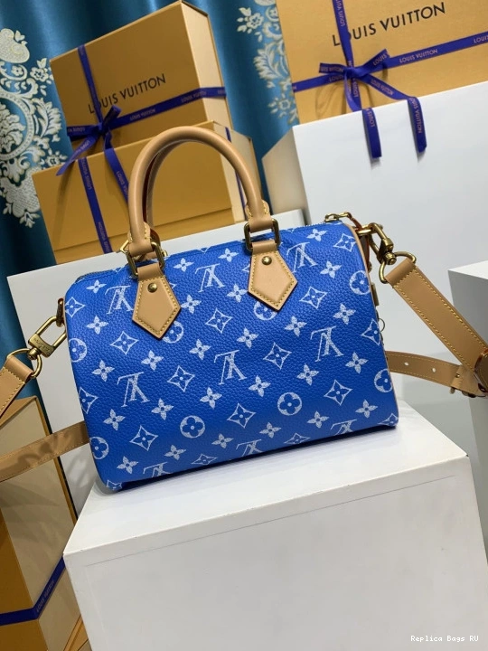 Cheap Vuitton SPEEDY Louis 25 0812